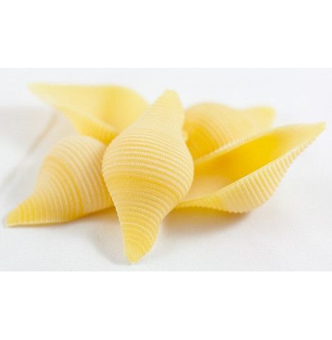 Conchiglioni del pastificio Gentile di Gragnano