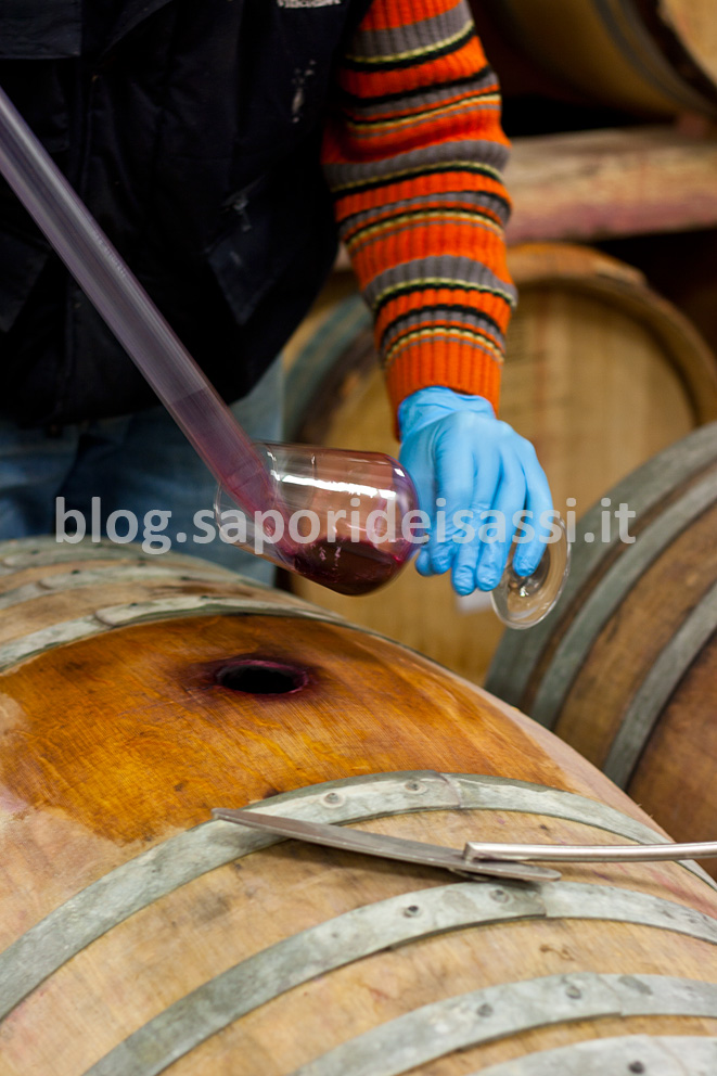 VinoBarrique VinoBarrique