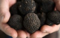 Pulizia Tartufo nero